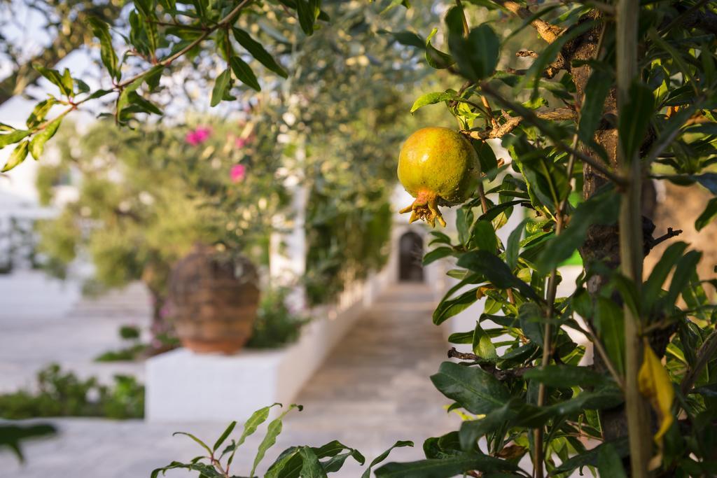 Hotel Masseria Il Melograno Monopoli Exterior foto